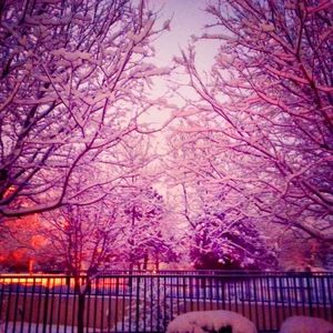 Meet your Posher, Marisa